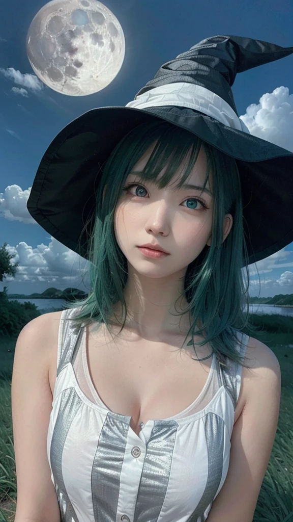 highest quality, Very detailed, masterpiece, Very detailed, cloud, witch_Have, Have, One girl, null, green_null,Day, length_hair, cloudy_null, moon,bird, alone, Silver_hair, witch, Outdoor