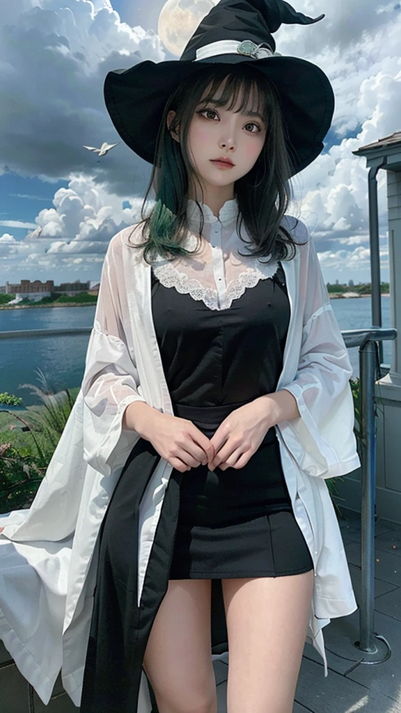 highest quality, Very detailed, masterpiece, Very detailed, cloud, witch_Have, Have, One girl, null, green_null,Day, length_hair, cloudy_null, moon,bird, alone, Silver_hair, witch, Outdoor