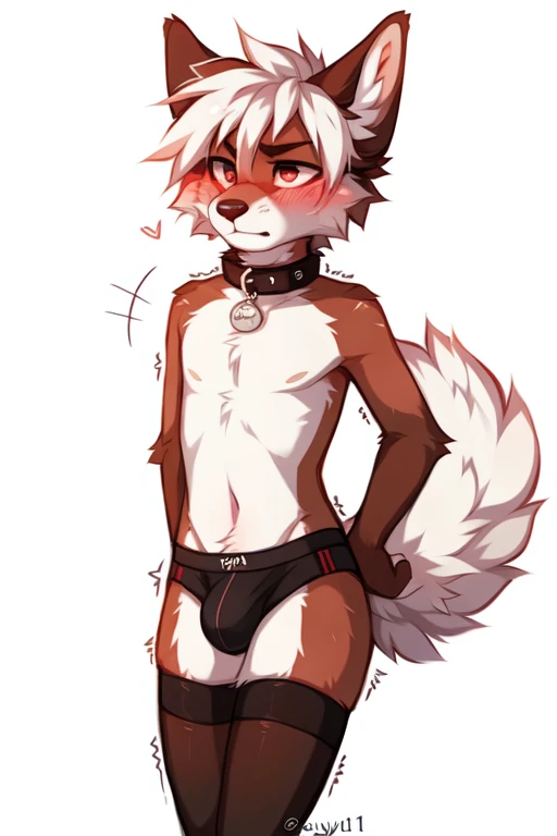 full body，No background, white background, ((by keihound, by reysi)), by Zackary911, by hyattlen, by fumiko, by fluff-kevlar, Furry, Anthro, ((y)), ((loose collar)), ((tee ((twink))mall)), ((bored eyes)), ((annoyed expression)), ((blushing)), ((shaking motion line)), full body, short white hair, ((fluffy tail)), ((shirtless，bulge, stockings))