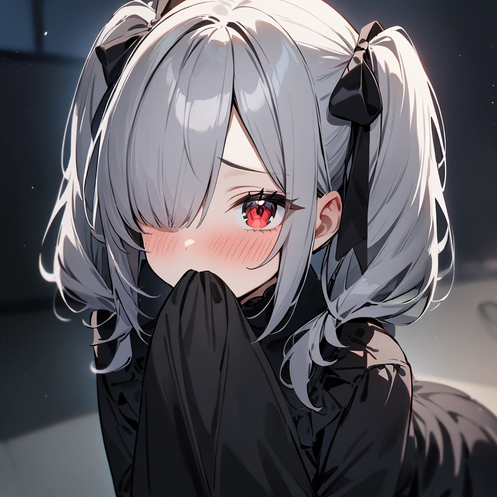 (One Girl),Gothic,Twin tails,Gray Hair, blush,Red Eye,Hair above one eye,masterpiece, best quality, very aesthetic, absurdres,Hide your mouth
