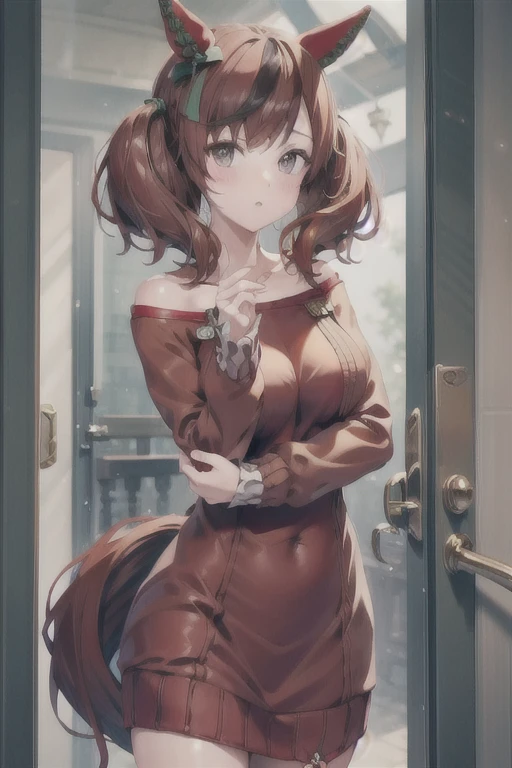 nicenature, sweater dress