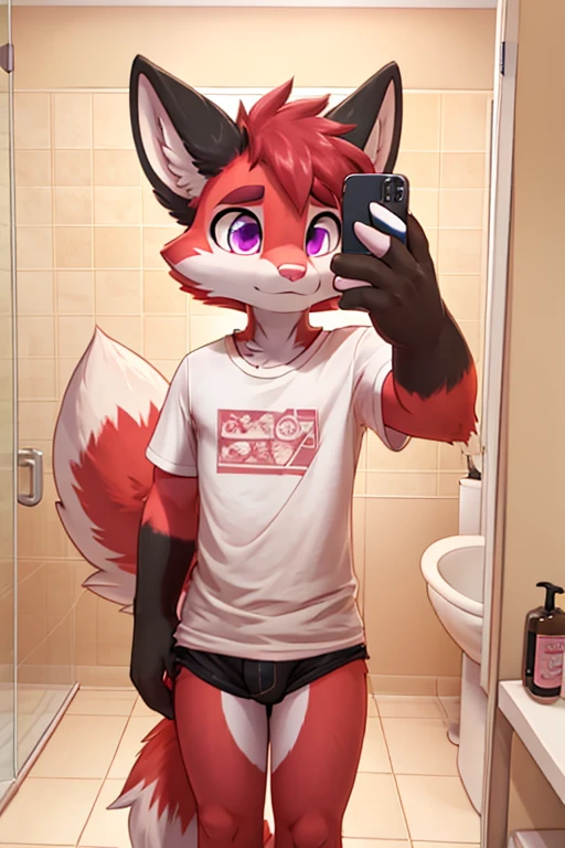 Anthropomorphic male crimson fox with pink nose, black ears, horns and purple eyes, two tails, fullbody view, solo, standing, selfie pov, bathroom, digital art, lifting his shirt, femenine look, seen from the front, wearing a pink t-shirt and long pink socks with white stripes, serious face, watching himself in a mirror.