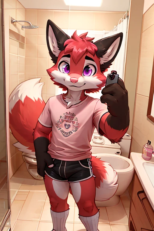 Anthropomorphic male crimson fox with pink nose, black ears, horns and purple eyes, two tails, fullbody view, solo, standing, selfie pov, bathroom, digital art, lifting his shirt, femenine look, seen from the front, wearing a pink t-shirt and long pink socks with white stripes, serious face, watching himself in a mirror.
