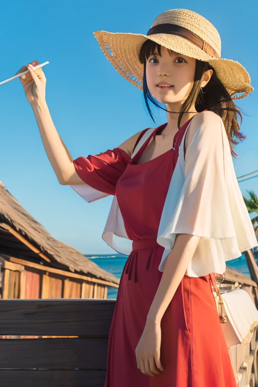 One Piece Straw Hat Pirate