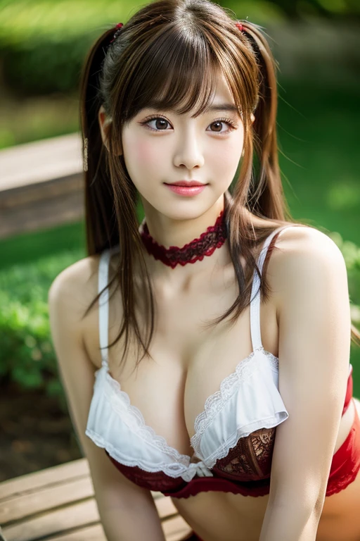 highest quality、masterpiece、超A high resolution、(Photorealistic:1.4)、Japanese 、 Pigtail Hair、Cleavage:1.2, Super detailed face、Red tie、Attention to detail、double eyelid、Put your chest together、Sharp focus:1.2、Beautiful woman:1.4、Highly detailed and professionally lit smile、Shoulder out、thin、Serious expression、whole body、Red underwear、garter belt、stockings、Long legs、 Sharp focus :1.2, Beautiful woman with perfect figure :1.4, (A wistful smile, Upward glance), thin腹筋 :1.1, ((Brown Hair, Big Breasts :1.2)), Highly detailed face and skin texture、Black choker around the neck、garter belt、Sleeping on a park bench