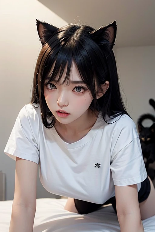 1People Girls、Large white simple T-shirt、Looking down at the viewer、Black Hair、Small black cat ears、Leaning over the viewer on the bed、On all fours、White shorts、Raised eyebrows、I can see the ceiling、Large Breasts、(Angry:1.1)、(Lips are pointed.:1.1)、Blushing、Long Hair、whole body、(Touching the viewer's cheek with both hands:1.3)、Asahi, Looking straight at the viewer、Beautiful Skin、16age