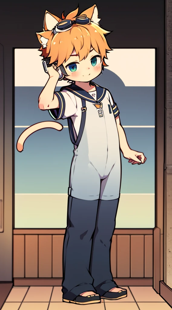 2D Boy Shota,Coverall,Slim, healthy body,Put the headphones on your head,stand up,goggles,Cat ear,happy,Sailor collar,Lovely,Love,Short sleeve