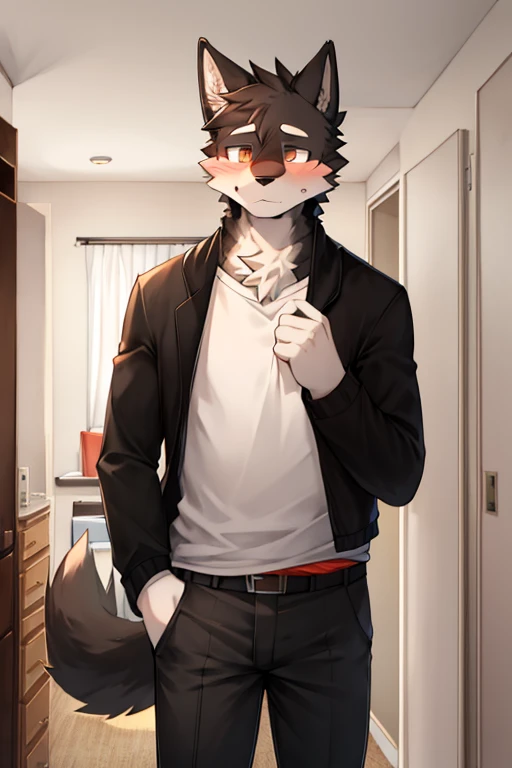 Furry black wolf white face male , front the apartment door . Wear clothes for traveling ,wear trouser ,Nervous expression