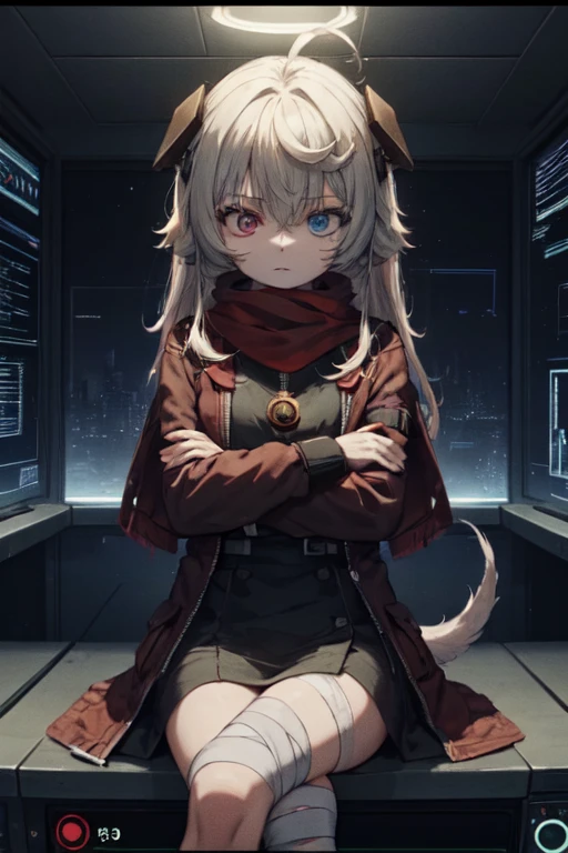 white hair, long hair, headgear, hair ornament, facial mark, heterochromia, red eyes, grey eyes, red scarf, mechanical arms, red jacket, center opening, black dress, dog tags, (red pouch:1.3), open jacket, torn clothes, tail coat
BREAK (bandaged leg:1.2)
BREAK mature female, space, outer space, space station, cafe, crossed arms, katana
BREAK (heads-up display, holographic panels:1.5), (game screenshot:1.1), metal walls, (cockpit:1.1), computers, circuits, subsurface scattering, focused, soft lighting, scolding, volumetric lighting
BREAK sitting, (crossed legs:1.1)
