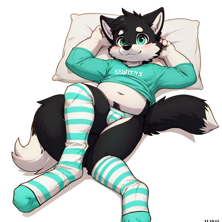 Anthropomorphic young male fat black wolf, twirl tail, fullbody view, solo, lying, white background, digital art, lifting his shirt, different views, wearing a teal t-shirt and long teal socks with white stripes, with legs rised up, looking at viewer
