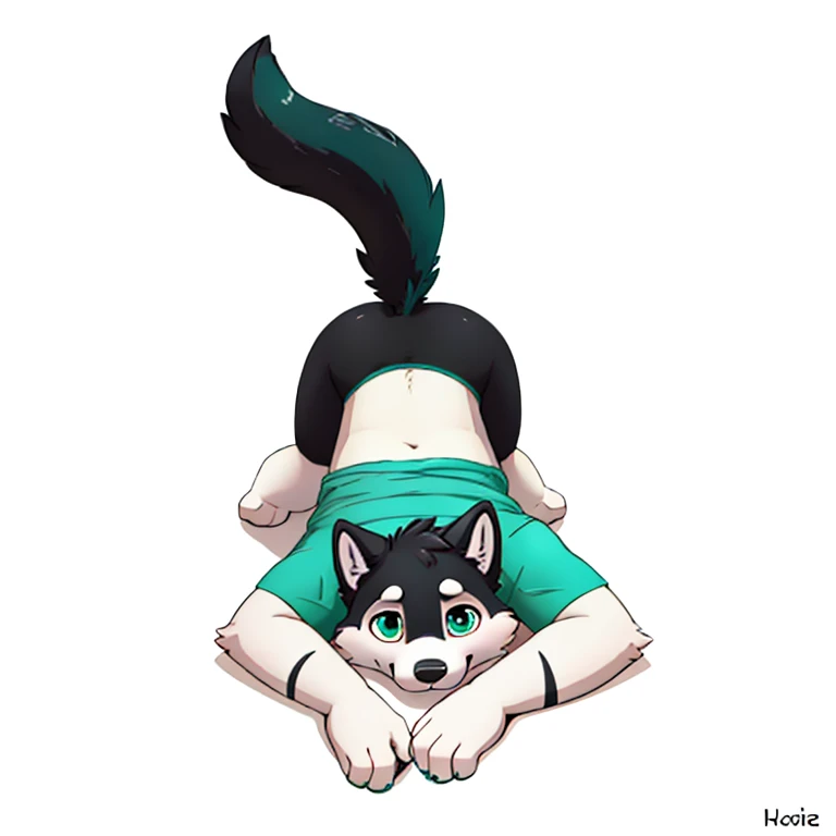 Anthropomorphic young 8 year old male fat black wolf, twirl tail, fullbody view, solo, lying on floor, white background, digital art, lifting his shirt, seen from the back, wearing a teal t-shirt and long teal socks with white stripes, with legs rised up, looking at viewer, sfw version,
