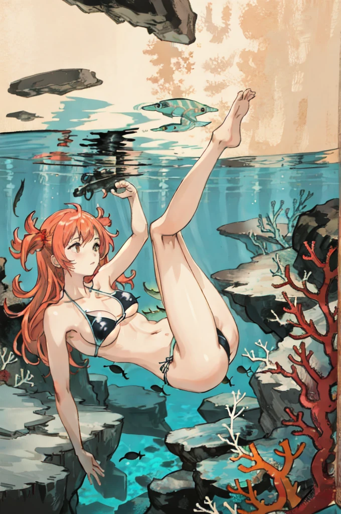 diving in the sea, coral reef, swimsuit