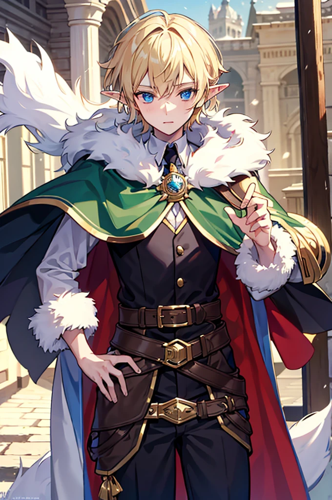 1boy, elf, noble, fur cape