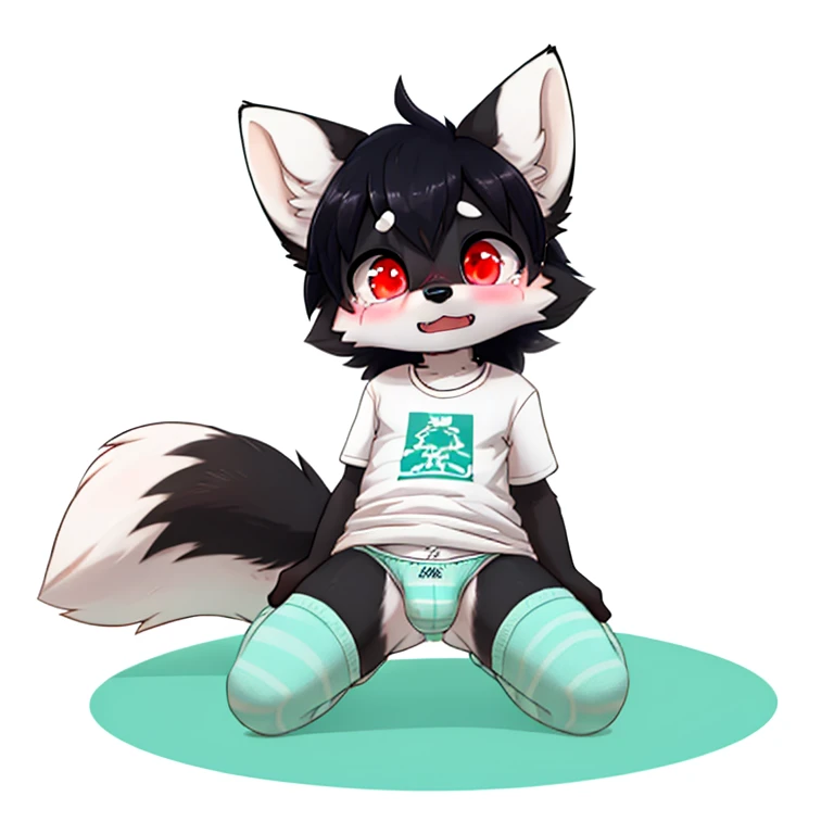 Anthropomorphic young 8 year olf male black fox, red eyes, twirl tails, fullbody view, solo, lying on floor, white background, digital art, lifting his shirt, touching his hip, seen from the back, wearing a teal t-shirt and long teal socks with white stripes and teal panties, looking at viewer, panties lowered, tears on eyes, scared face, blushed, bulge, wet panties
