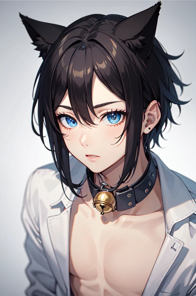 ((best quality)), ((masterpiece)), (detailed), Perfect face,
(1 Boys, blue eyes, Black Hair, Cat ear, Boys, man), Boys, man, collar with a bell, kneeling Boys