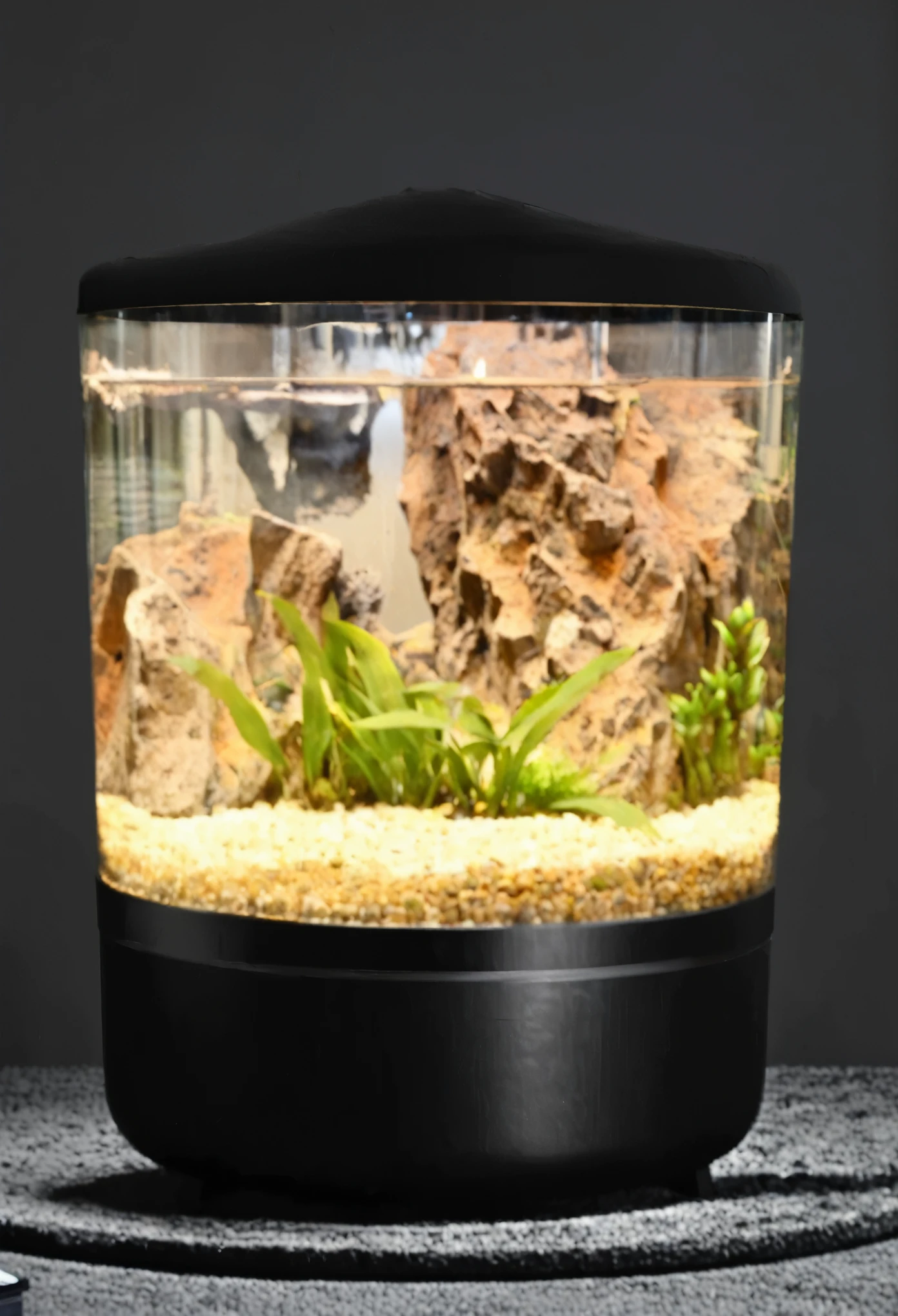 A black matte metal lid, Soft curves, Simple styling, Bauhaus, best quality, UHD, masterpiece, 4K, 8k, high details, high quality,there is a Fish Tank with a rock and plants in it, Drying the Aquarium, water flows inside the Terrarium, Fish Tank, Rock group aquascape, large Terrarium, Bottom lighting, Terrarium, Naturalistic approach, In a short round glass vase, ecosystem, filled with plants and habitats, gecko sitting inside a Terrarium,