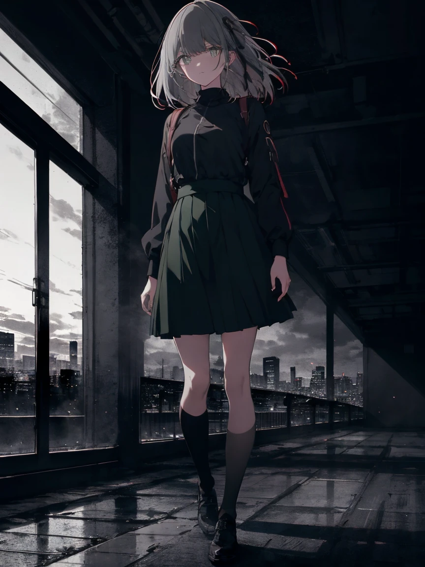 masterpiece, highest quality, High resolution, One girl, alone, bangs， Faded tones, Monochrome, Cool girl, 長いbangs, hipster, Gray Hair, Full Body Shot, Monochrome, Detailed face, Beautiful Eyes, black, green, Large blurry background, Rooftop at dawn, Shot in the back, Looking out over the fence