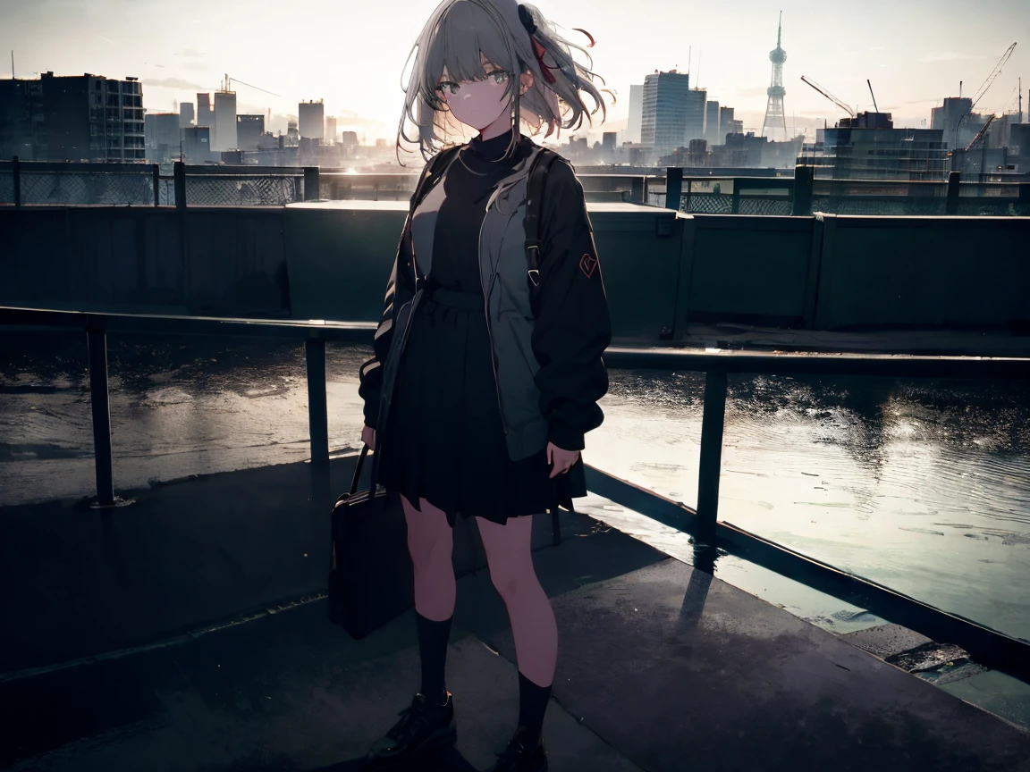 masterpiece, highest quality, High resolution, One girl, alone, bangs, Faded tones, Monochrome, Cool girl, 長いbangs, hipster, Gray Hair, Full Body Shot, Monochrome, Detailed face, Beautiful Eyes, black, green, Large blurry background, Rooftop at dawn, Looking out over the fence