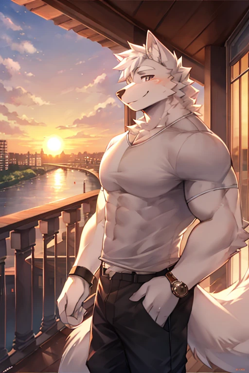 Big Muscle furry black wolf kiss furry white wolf  Wear shirt and trouser , the balcony railing ,Riverside ,city,watch the sunset ,Smiling softly and warmly ,Stand facing the sun  