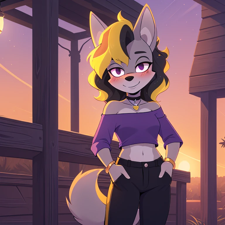 best quality, ultra-detailed, cinematic lighting, beautiful lighting, ((Masterpiece)), hi res, detailed, detailed background, vibrant lighting, high quality, cartoon style, 2d, (Mobian:1.1), solo, (((1girl))), (((female))), (((grey jackal))), grey body fur, ((grey medium wavy hair, yellow highlights:1.3)), tail, (((grey tail))), pink eyes, lean body, ((adult)), (((jewelry, shirt, outdoors, pants, crop top, hand in pocket, blush, no sleeves, collarbone, black pants, necklace, cowboy shot, off-shoulder shirt, black choker, off shoulder, purple shirt))), looks at viewers, bright blush, cute smile, soft, standing