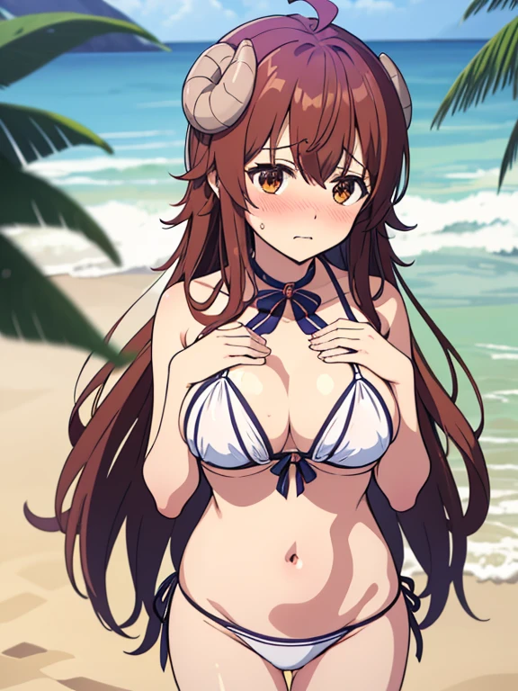 {{{masterpiece}}}, {{{best quality}}}, {{ultra-detailed}}, {illustration}, {{an extremely delicate and beautiful}},1girl,machikadomazoku,yoshida yuuko,blown hair,long hair,embarrassed,bikini,in beach,hands breasts,