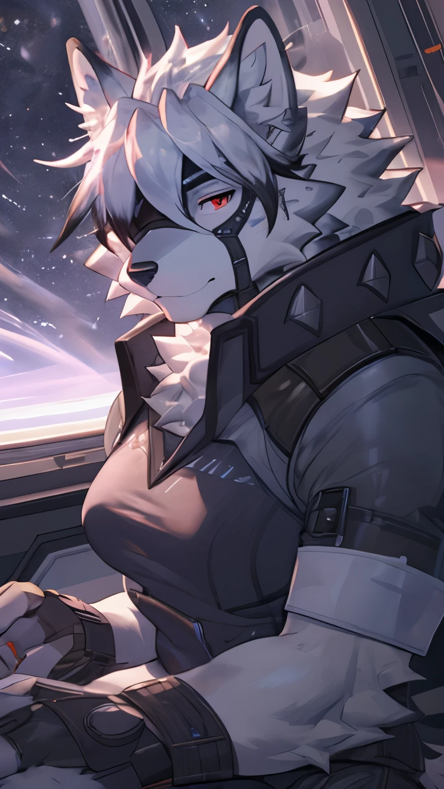 ((8k, 4k, Detailed, High quality, masterpiece, perfect anatomy, sfw)), Mass Effect, furry, female, mature female, kemono, ((By Hyattlen)), Von Lycaon, (Zenless Zone Zero), wolf, sexy body, big breasts, cute face, red eyes, black sclera, eye patch, fluffy tail, thick thighs, N7 armor, on-piece bodysuit, body movement, seductive look, hearts, shy, red blushing, date, in the spaceship, laying down on bed, looking at viewer