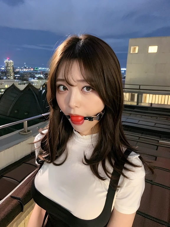 ((Midnight, Best quality, 8k, Masterpiece :1.3)), Whole body, Long legs, Sharp focus :1.2, A pretty woman with perfect figure :1.4, Slender abs :1.1, ((Dark brown hair,Gigantic breasts :1.2)), (White tight tshirt, Jean bib, Standing:1.2), ((Night city view, Rooftop:1.3)), Highly detailed face and skin texture, Detailed eyes, Double eyelid, ballgag 
