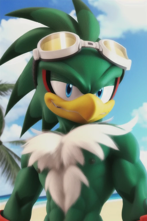 jetthehawk, furry male anthro, bird boy, portrait, solo, (best quality), (detailed fluffy feathers:1.1), goggles, muscular, grin, red speedo, bulge, beach, looking at viewer, 3d render