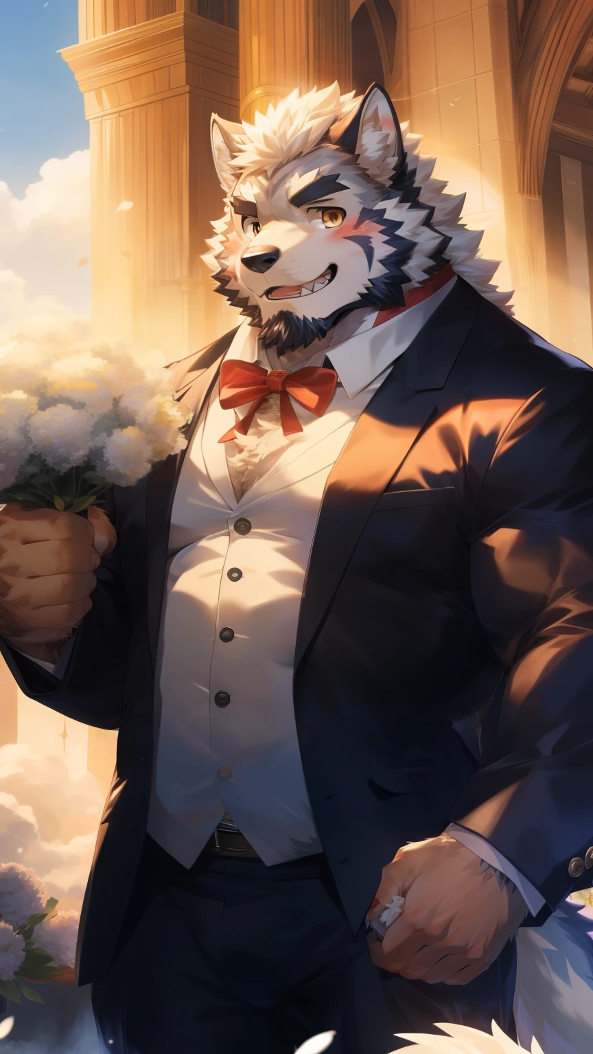 Solitary, anthropology, hairy, hairy male, Wolf, ((Fluffy fur, Fluffy, hairy body)), (Wolf印), (short beard), youth, Gray body, muscular, White, Big muscles, Golden pupils, Tail, deTailed teeth, deTailed face, Fundos, bridegroom, (Black suit suit), (The collar is open), Holding a bouquet of white flowers, 害羞的站在church门前, deTailed Fluffy fur, deTailed face, Look at the audience, majestic, barbarous, A faint smile, Blushing, Strong, church, White dove, Front view, (through empty ghost, From wolf26, masterpiece, high quality, high resolution,8k), permanent, Close-up portraits, outdoor, 