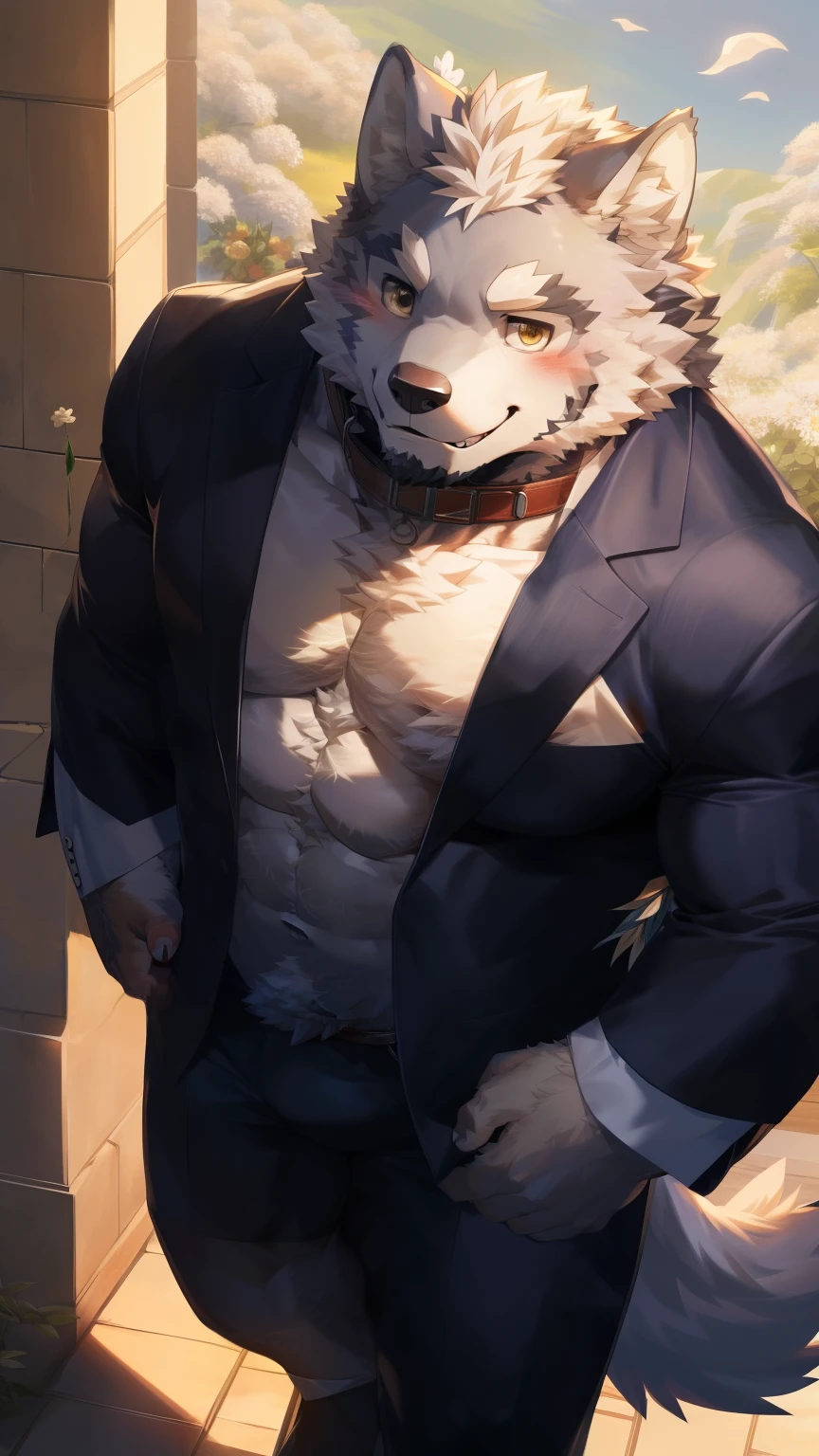 Solitary, anthropology, hairy, hairy male, Wolf, ((Fluffy fur, Fluffy, hairy body)), (Wolf印), (short beard), youth, Gray body, muscular, White, Big muscles, Golden pupils, Tail, deTailed teeth, deTailed face, Fundos, bridegroom, (Black suit suit), (The collar is open), Holding a bouquet of white flowers, 害羞的站在church门前, deTailed Fluffy fur, deTailed face, Look up at the audience, majestic, barbarous, A faint smile, Blushing, Strong, church, White dove, Half sideways, Top view, (through empty ghost, From wolf26, masterpiece, high quality, high resolution,8k), permanent, Close-up portraits, outdoor, 