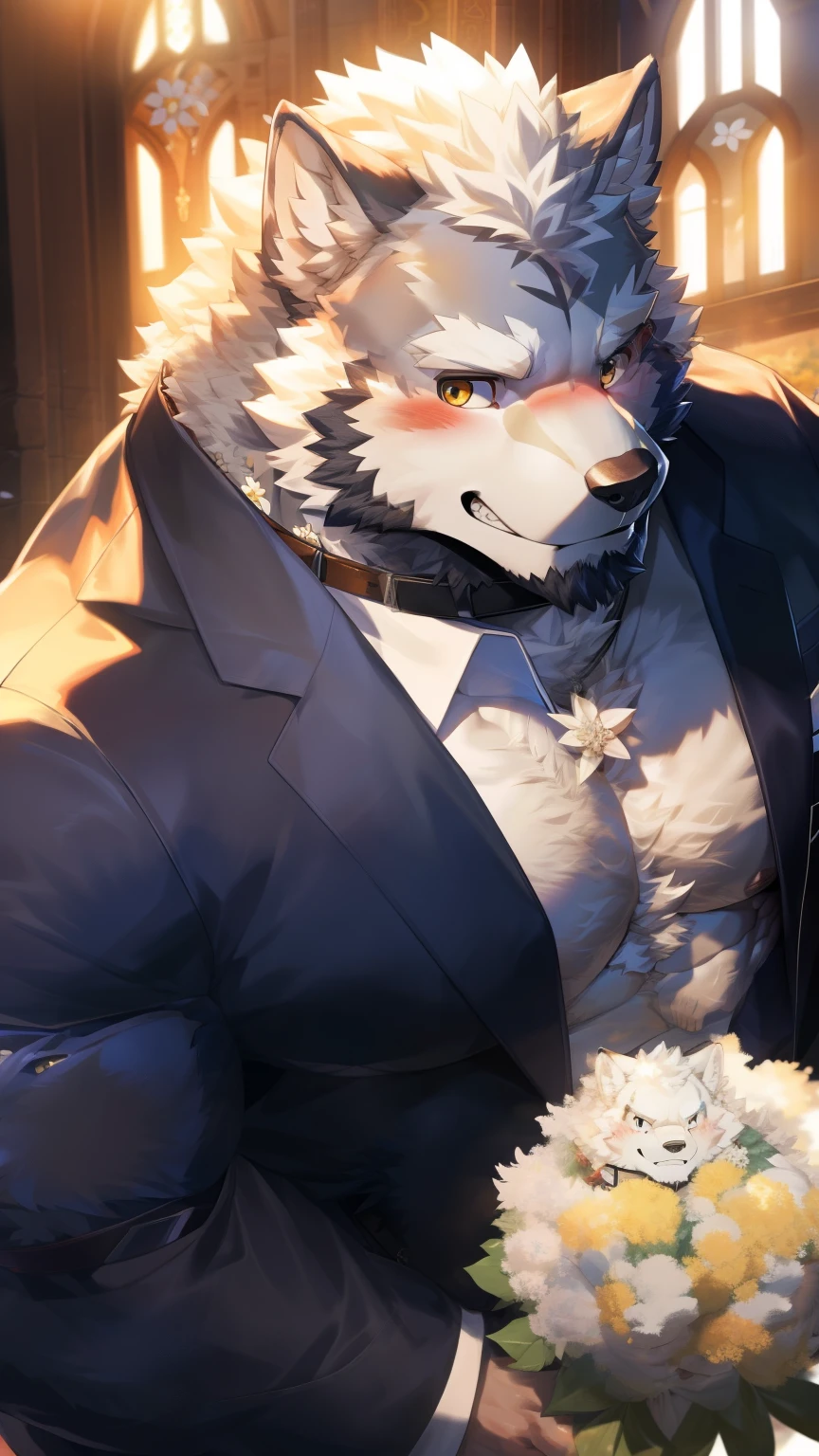 Solitary, anthropology, hairy, hairy male, Wolf, ((Fluffy fur, Fluffy, hairy body)), (Wolf印), (short beard), youth, Gray body, muscular, White, Big muscles, Golden pupils, Tail, deTailed teeth, deTailed face, Fundos, bridegroom, (Black suit suit), (The collar is open), (Holding a bouquet of white flowers), 害羞的站在church门前, deTailed Fluffy fur, deTailed face, Look up at the audience, majestic, barbarous, A faint smile, Blushing, Strong, church, White dove, Half sideways, (Top view), (through empty ghost, From wolf26, masterpiece, high quality, high resolution, 8k), permanent, outdoor, 