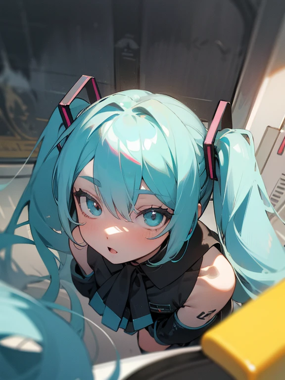 SFW, pecho,Tren,comino ,upper front shot,stand,Hatsune gran multitud,Tren,