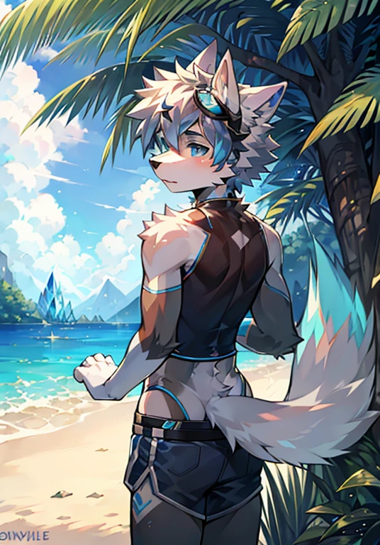 Furry,Wolf boy,White fur,crystal blue eyes,Single fluffy tail,greyt hair,short detailed hair,summer day,dive,Wear diving goggles,masculine features,back,stand,asshole