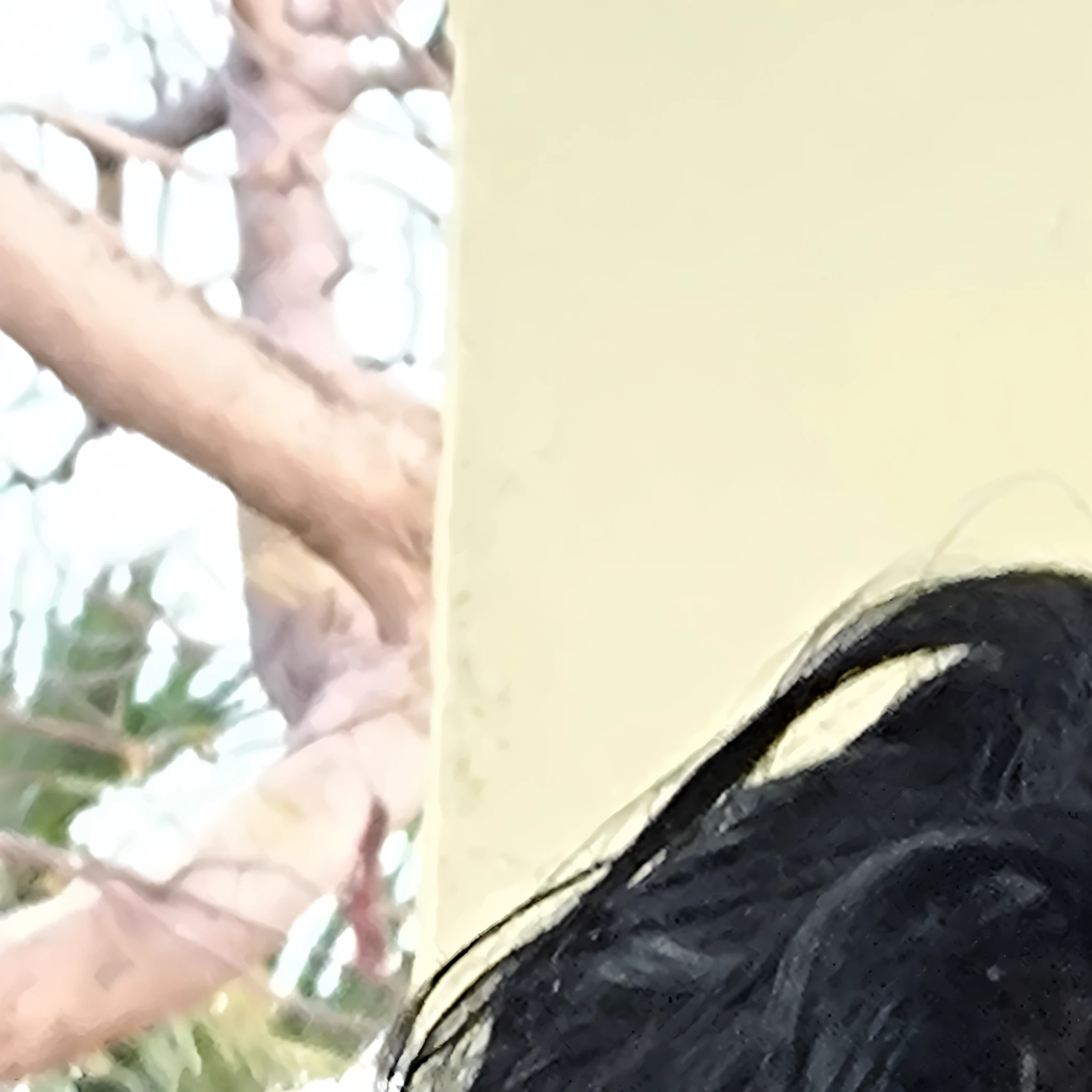expand this image but leave the person without clothes