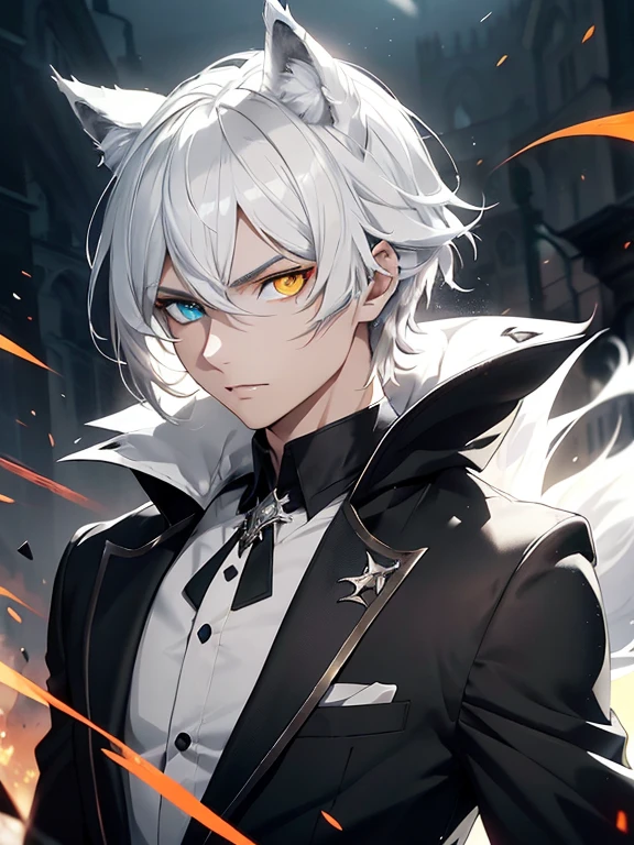 (Absurd, High resolution, Very detailed), masterpiece, highest quality, Light and shadow, pure white wolf、silverwolf,Wolf-eared males,Short Hair,Detailed face,Black Shirt,Black Suit Fire Particles,Clear, large eyes, beast king,Anime characters,White wolf anthropomorphic,good looking,youth, Short Hair,Young handsome man,Wolf-eared men, ((Heterochromia, Left eye clear yellow, Right eye glows red,Right eye,Right eye dazzling,)Demonic glowing pupils, Dreamy Background, kind, Infinite Light, Spectacular sunset background, Octane Rendering, Beautiful Features, Beautiful and detailed eyes, Complex skin, Detailed face, Perfect skin texture, Extreme Detail, Whole-body vision, Cinema Lighting, Professional Lighting, profile,Shot with a Hasselblad X1D-50, Depth of written boundary, Perfect lighting, Particles of light, (highest quality), (masterpiece), (Super detailed), Sharp focus, Particles of light,silverwolf擬人化,Butler,Far away from the subject,Wolf ears don't stick out from the screen,The whole body fits on the screen,Full Body Shot,Gentle expression