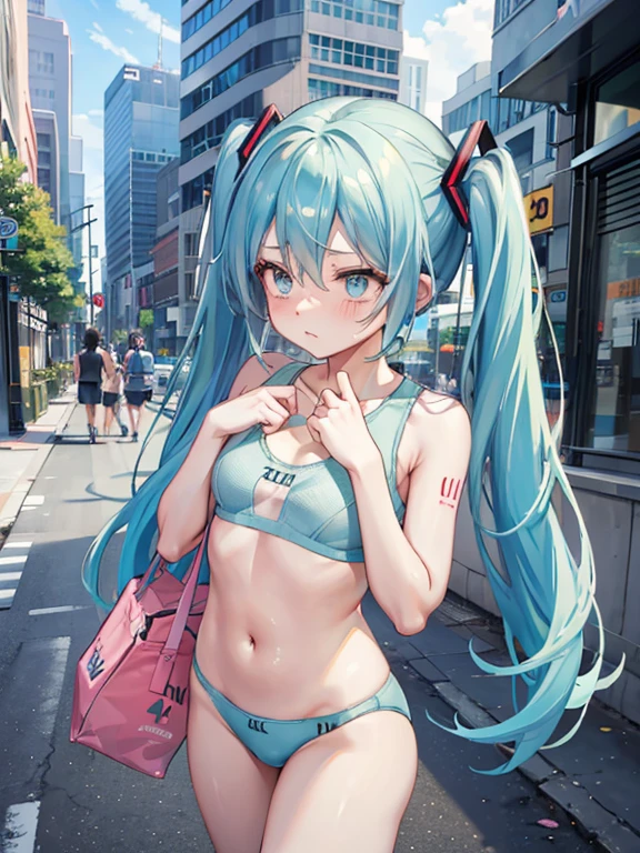 Hatsune Miku lift Calvin Klein plain flamingo underwear on the street,Embarrassed