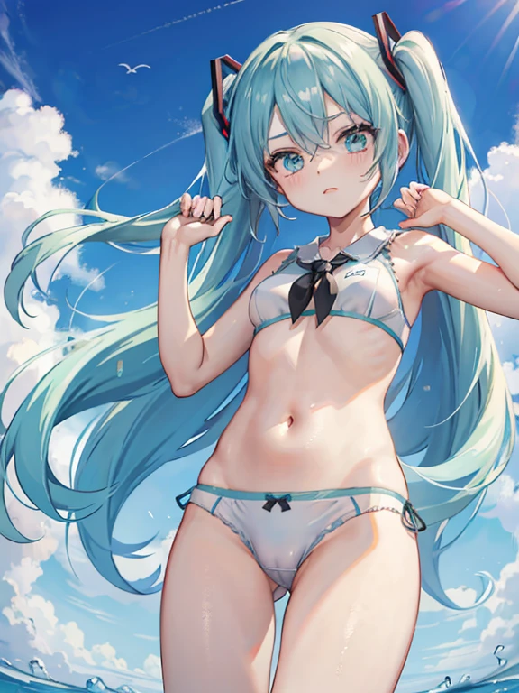 Hatsune Miku lift Calvin Klein plain flamingo underwear ,