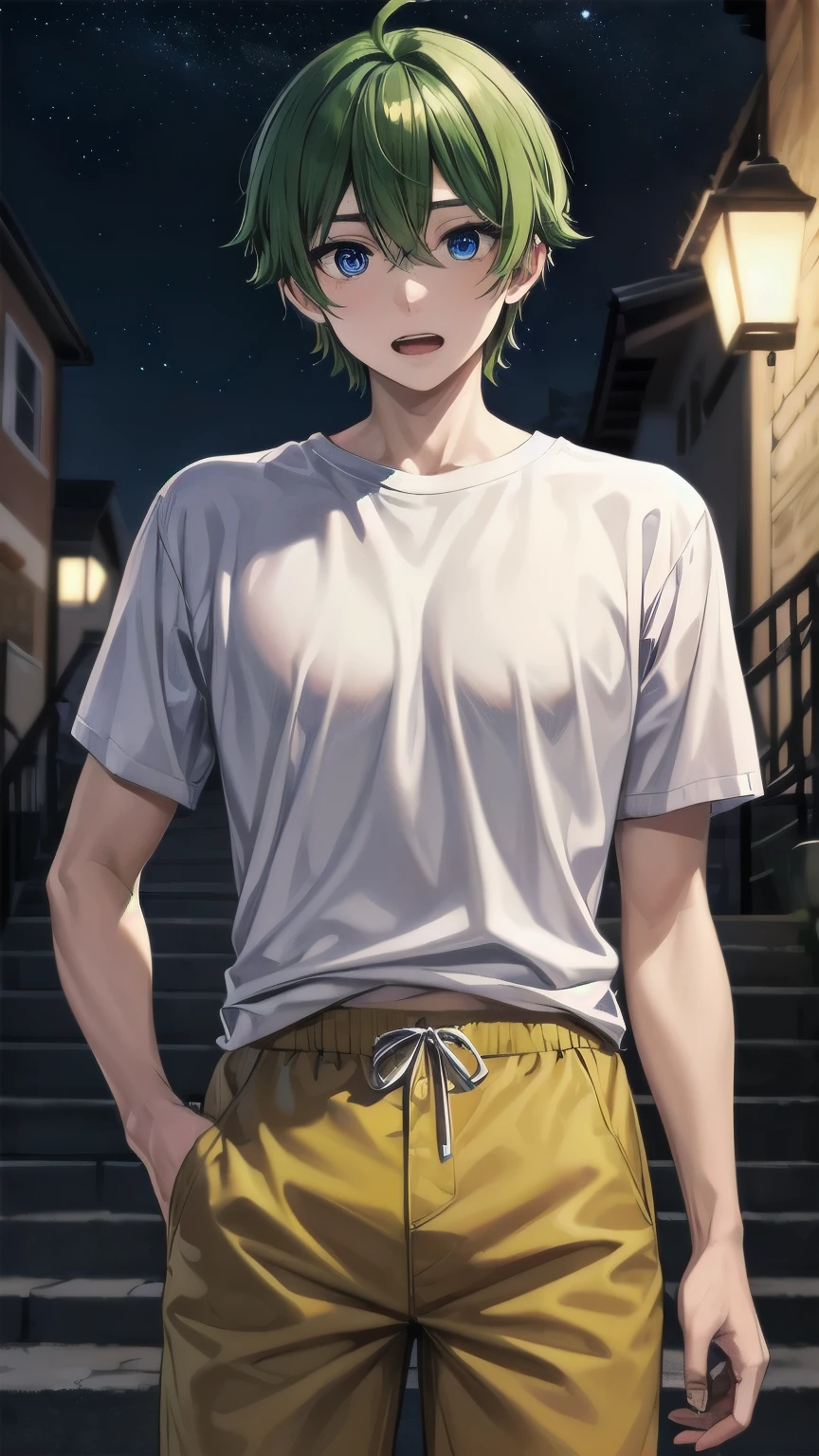 (masterpiece), ((sfw)), best quality, expressive eyes, perfect face, mature male, (1boy, adult Man), young adult, young man, solo, Green hair BREAK ahoge, blue eyes BREAK t-shirt, yellow shorts, standing, night sky, town village, open mouth, surprised face