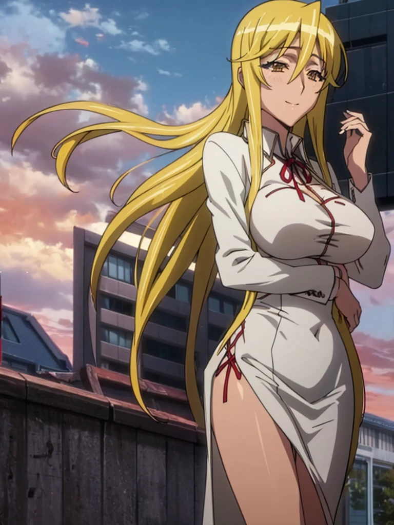 (Shizuka Marikawa Highschool of the Dead) HD Solo girl, Long Hair, big breasts, white skin, sexy body, sexy Red Dress, slit Dress, split cloth, realistic, smile, wind blowing hair and cloth, beautiful lakeside background