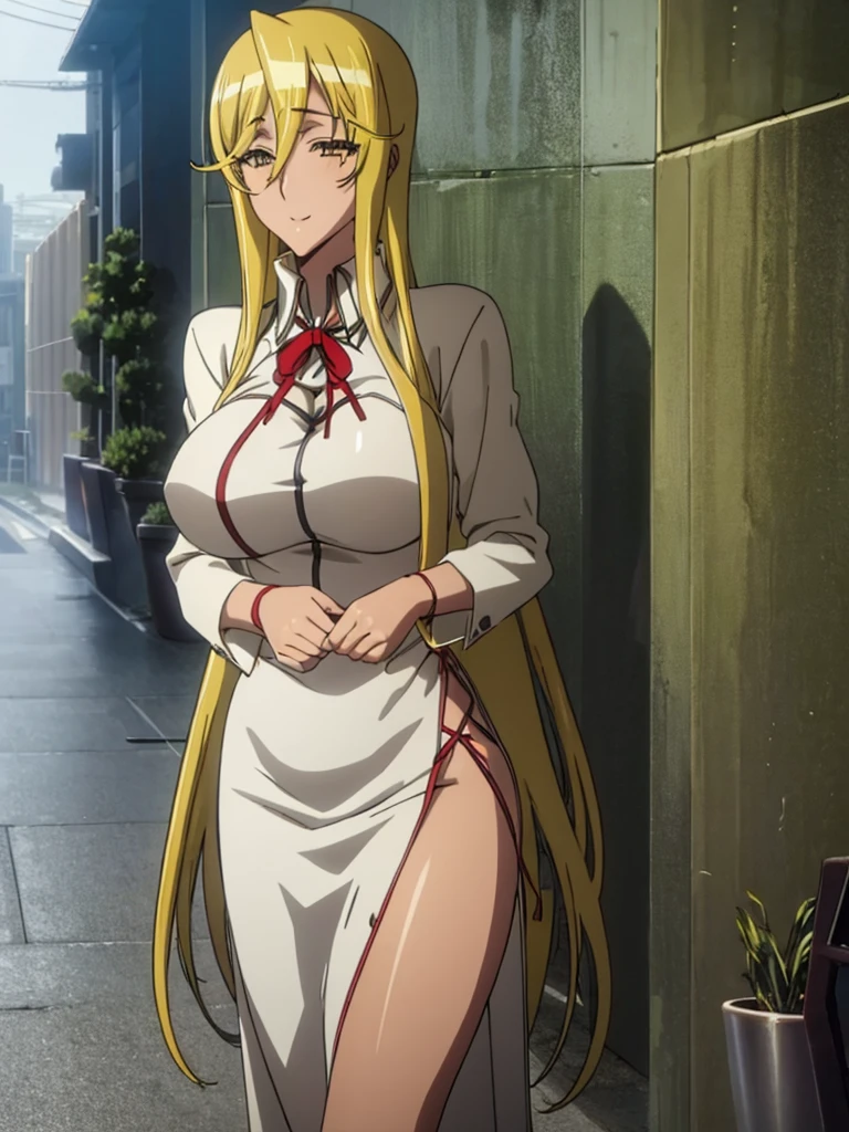 (Shizuka Marikawa Highschool of the Dead) HD Solo girl, Long Hair, big breasts, white skin, sexy body, sexy Red Dress, slit Dress, split cloth, realistic, smile, wind blowing hair and cloth, beautiful lakeside background