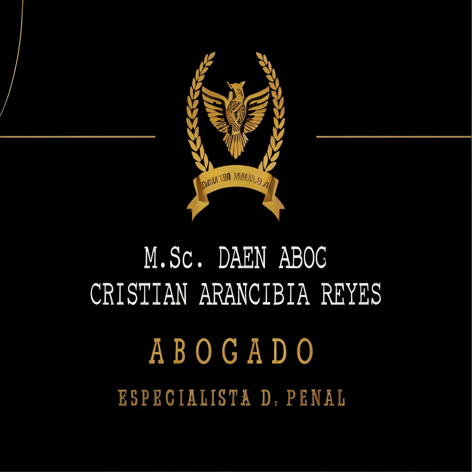 un primer plano de un logotipo negro y dorado con una cinta dorada, alejandro mirabal, y dos santos, asencio, debora, paul pepera pablo roldan, by Alexander Obregon, oficial, Daniel Mirante, esteban maroto, bandera, daniel merriam, diego fernandez, CEO, by Manuel Rendón Seminario, alejandro, imagen limpia