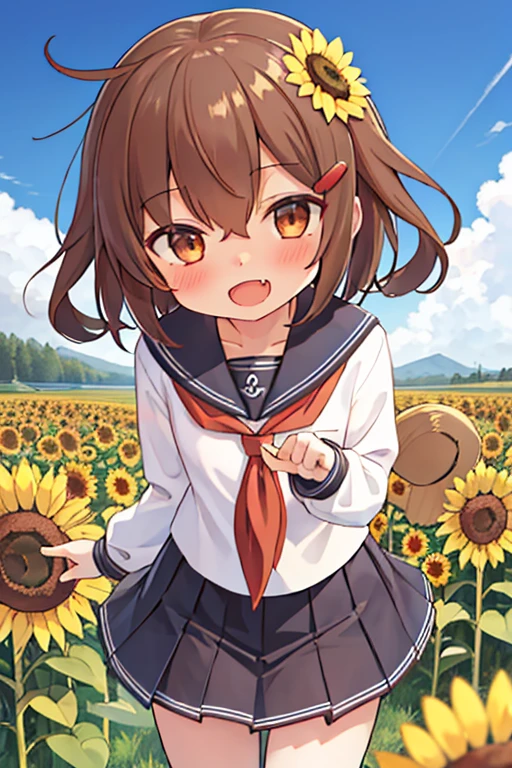 masterpiece, best quality, highres, 1girl, ikazuchi_kantaicollection brown_hair, short_hair, hairclip, hair_ornament, brown_eyes, serafuku, fang, open_mouth, smile, blush,sunflower garden,