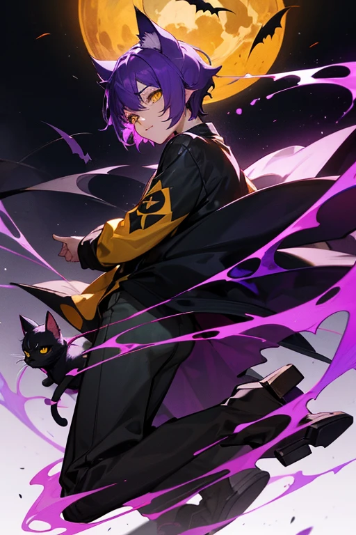 12 year old boy, violet hair, yellow eyes, full body, bat jacket, Eyeball Lance, Summoner, Feline Familiar, Black Cat & Bat summons, 