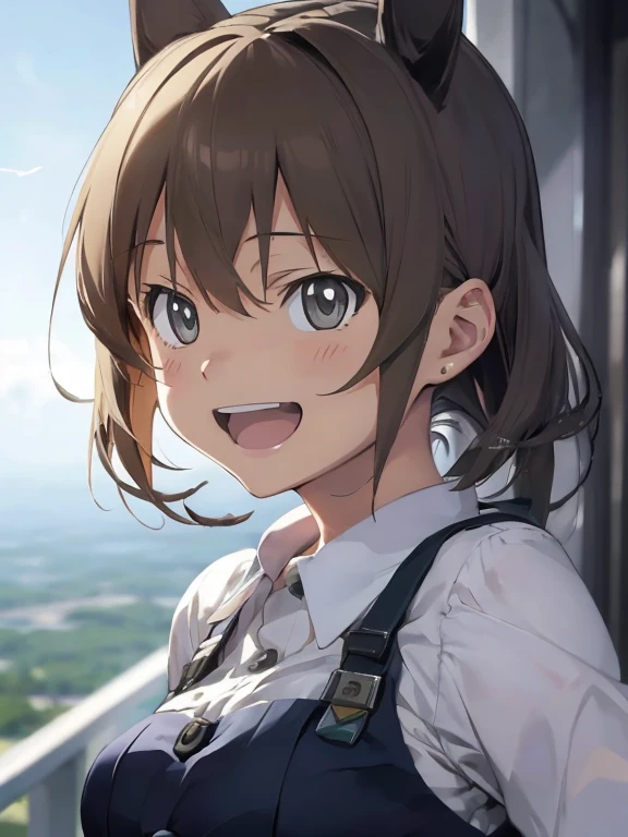 {(masterpiece,best quality, 8K UHD, extremely detailed CG, detailed beautiful face and eyes and skin and hair)}, {(ultra realistic photo graphic style:1.4)}, {(1girl free_fall from Altitude 10000m:1.2), (out of focus background:1.4)}, {1girl, 18yo, beasts_ears, beasta_tail}, (strike witches:1.2)}, {(cheerful:1.4), (candid shot)