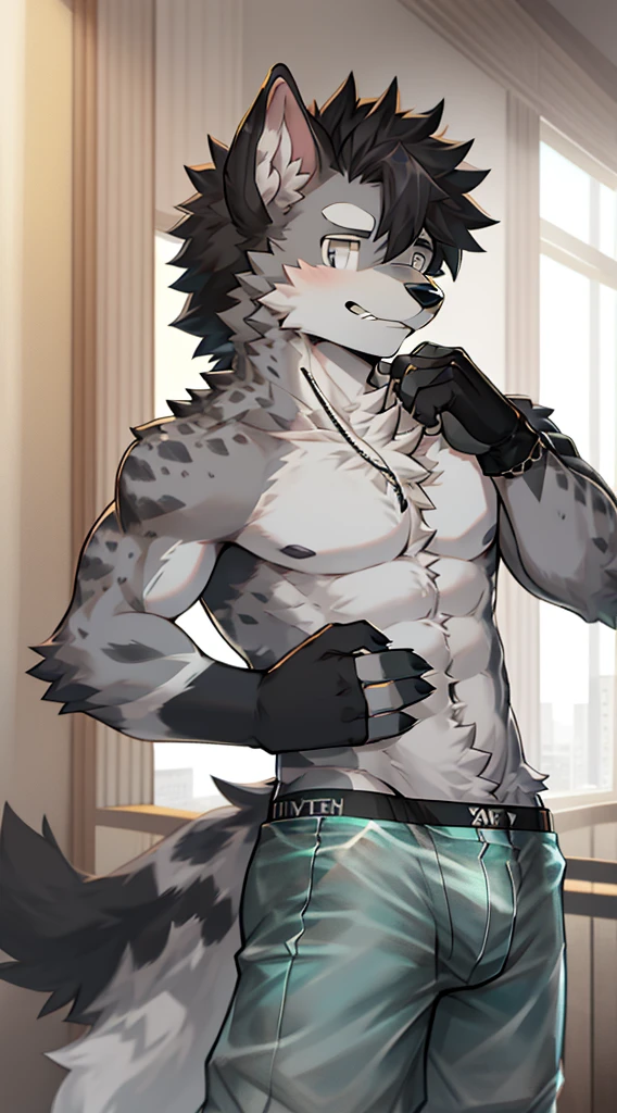 Hyena Boy，Gray fur，Topless, mammal, hairy，Gray Eyes，upscale hotel，Transparent swimming trunks quality，black fingerless gloves