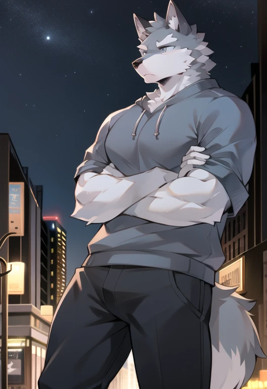 Just not good, Muscular body, Gray fur,Body tearing, Standing on the street, Gorgeous city night background,, head tilted to one side, Beautiful night city sky, Wearing a gray sweatshirt, Wolf furry character