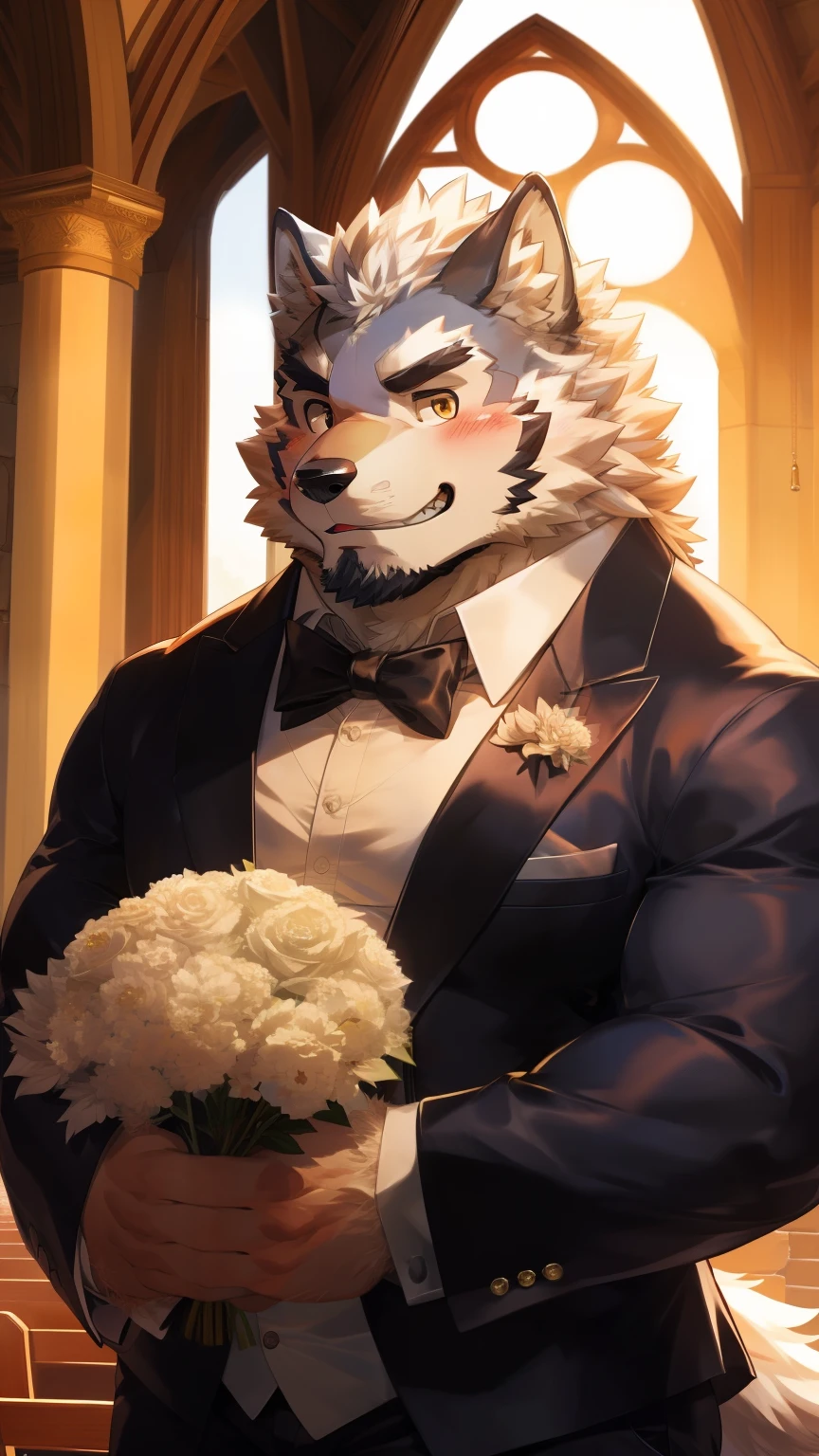 Solitary, anthropology, hairy, hairy male, Wolf, ((Fluffy fur, Fluffy, hairy body)), (Wolf印), (short beard), youth, Gray body, muscular, White, Big muscles, Golden pupils, Tail, deTailed teeth, deTailed face, Fundos, bridegroom, (Black suit suit), (Black bow tie), Holding a bouquet of white flowers, 害羞的站在church门前, deTailed Fluffy fur, deTailed face, Look down at the audience, majestic, barbarous, A faint smile, Blushing, Strong, church, White dove, Half sideways, Bottom view, (through empty ghost, From wolf26, masterpiece, high quality, high resolution,8k), permanent, Full body portrait, outdoor,