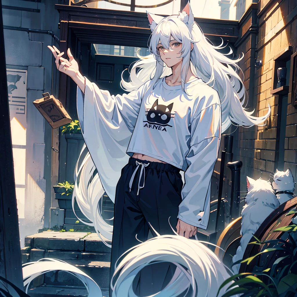 male, long white hair, cat ears, handsome, casual clothes, cat tail, age 18.