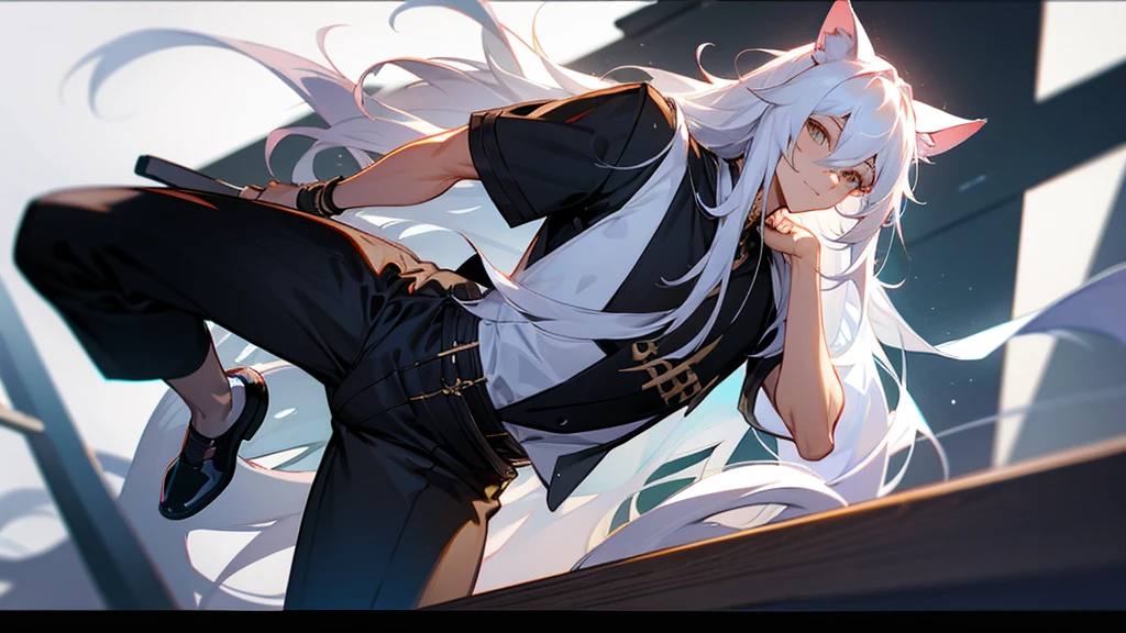 male, long white hair, cat ears, handsome, casual clothes, cat tail, age 18.
