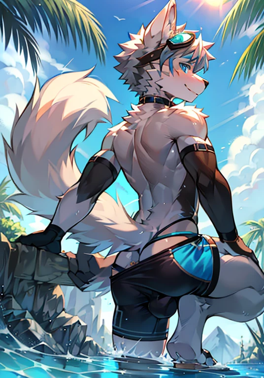 Furry,wolf boy,White fur,crystal blue eyes,Single fluffy tail,greyt hair,short detailed hair,summer day,dive,Wear diving goggles,masculine features,back,Squat,asshole,bulge,((Anus)),full body